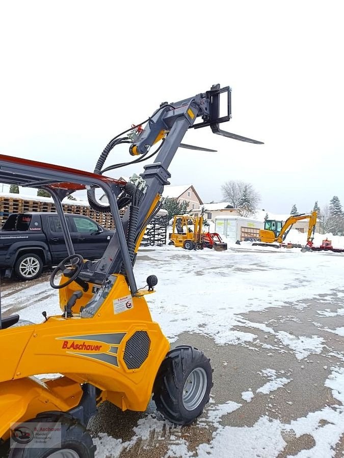 Hoflader типа Eurotrac T11 Teleskop-Lader mit Avant / Multione Aufnahme, Vorführmaschine в Dimbach (Фотография 21)