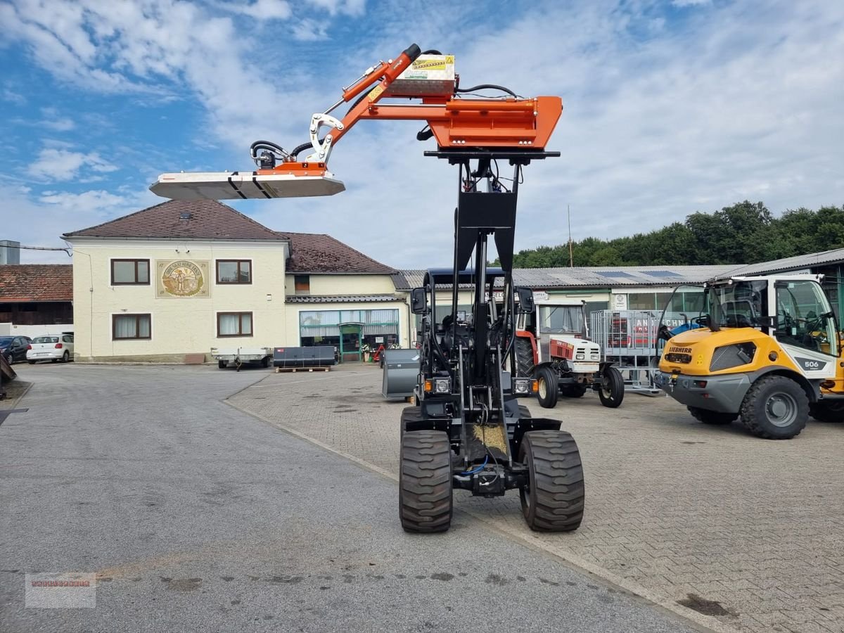 Hoflader des Typs Fuchs Kreissäge / Astschere für Hoflader NEU AKTION, Gebrauchtmaschine in Tarsdorf (Bild 9)