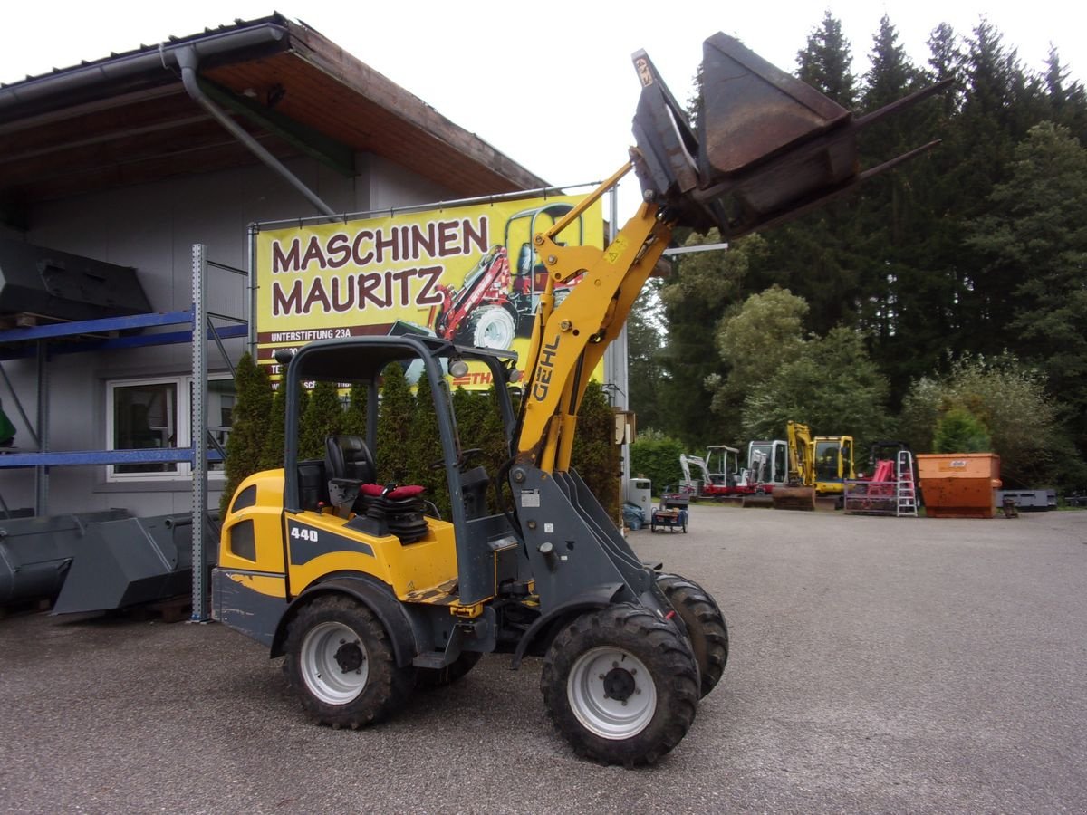 Hoflader tip Gehl 440, Gebrauchtmaschine in Bad Leonfelden (Poză 11)