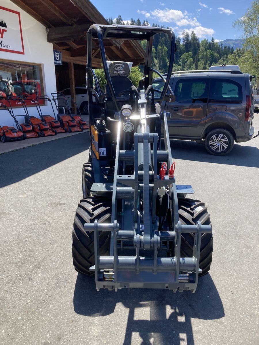 Hoflader типа GiANT 1500, Neumaschine в Reith bei Kitzbühel (Фотография 5)