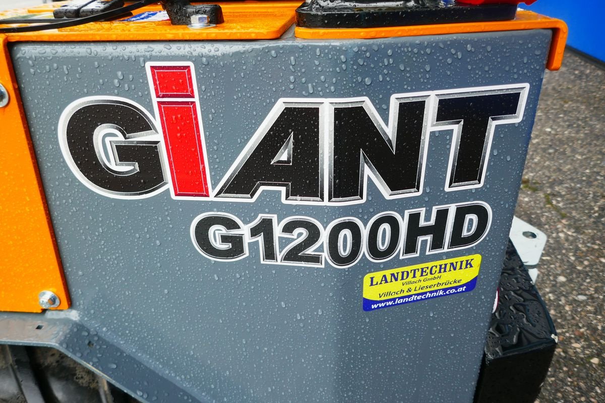 Hoflader del tipo GiANT G 1200 HD, Gebrauchtmaschine en Villach (Imagen 3)