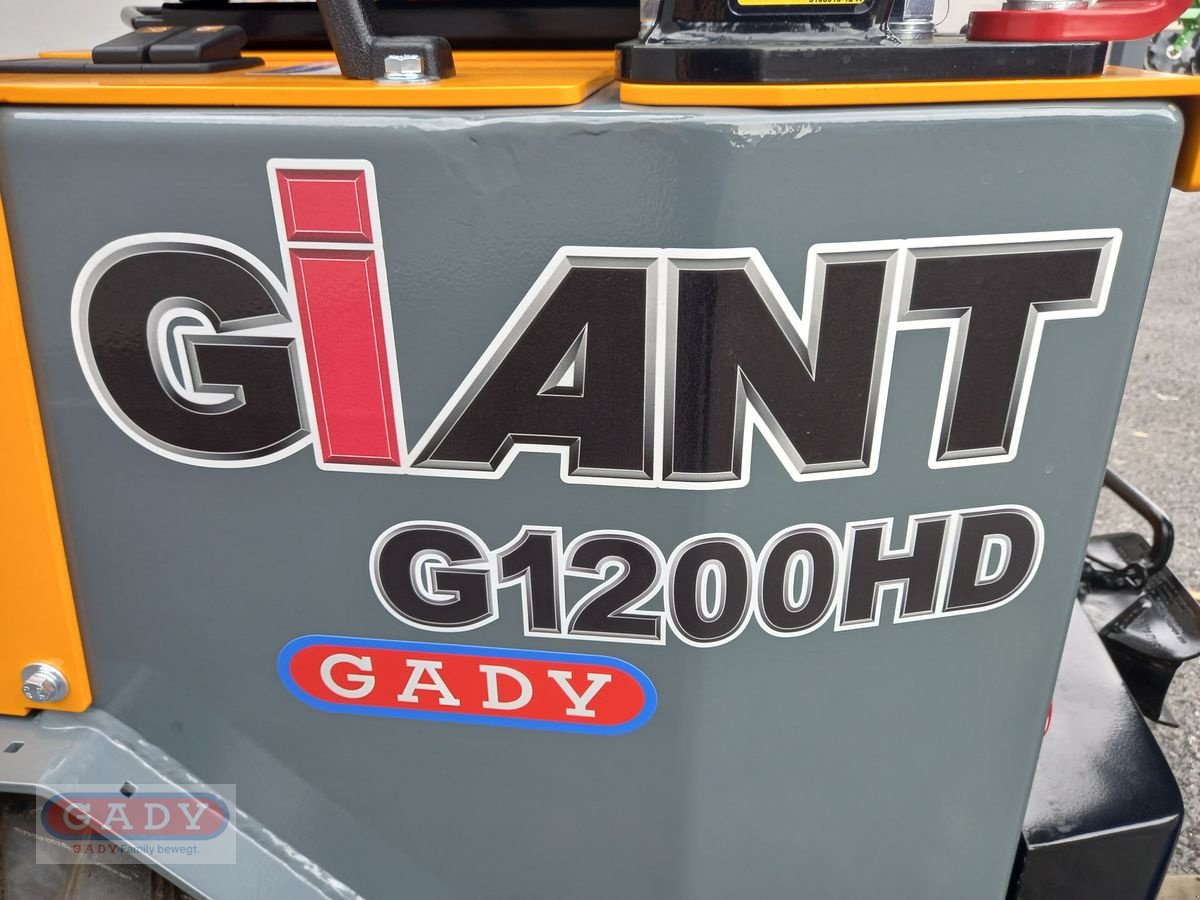 Hoflader typu GiANT G1200, Neumaschine w Lebring (Zdjęcie 13)