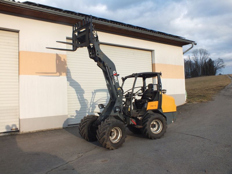 Hoflader a típus GiANT Giant V5003 Radlader, Gebrauchtmaschine ekkor: Putzleinsdorf