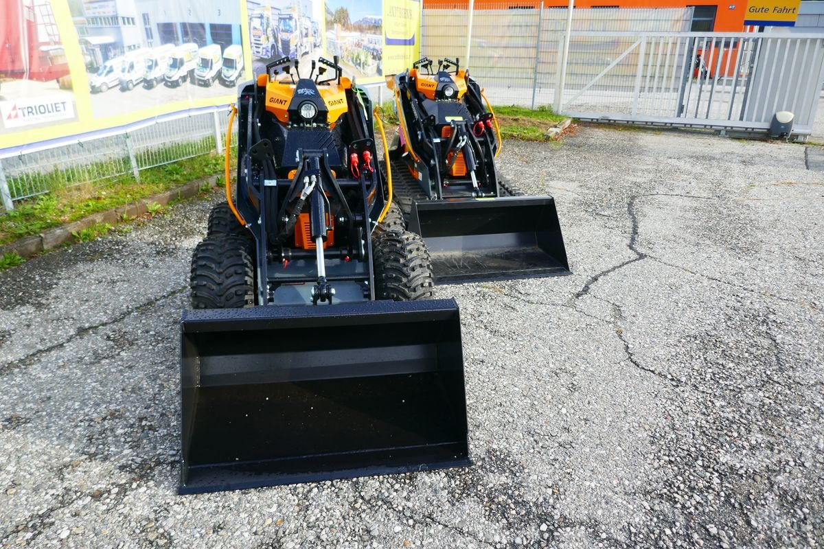 Hoflader des Typs GiANT GS 900 D oder GS 950 T, Gebrauchtmaschine in Villach (Bild 14)