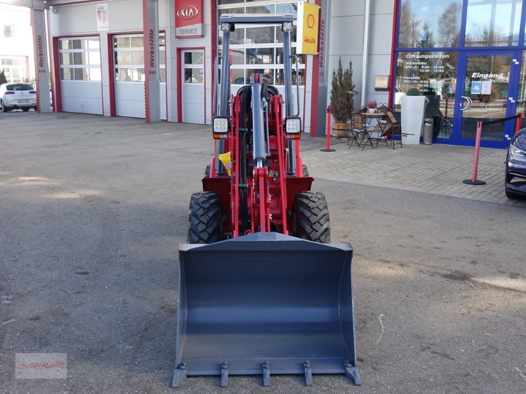 Hoflader tipa Grizzly 808 Hoflader! Allrad + 2 Jahre mobile Garantie!, Gebrauchtmaschine u Fohnsdorf (Slika 2)