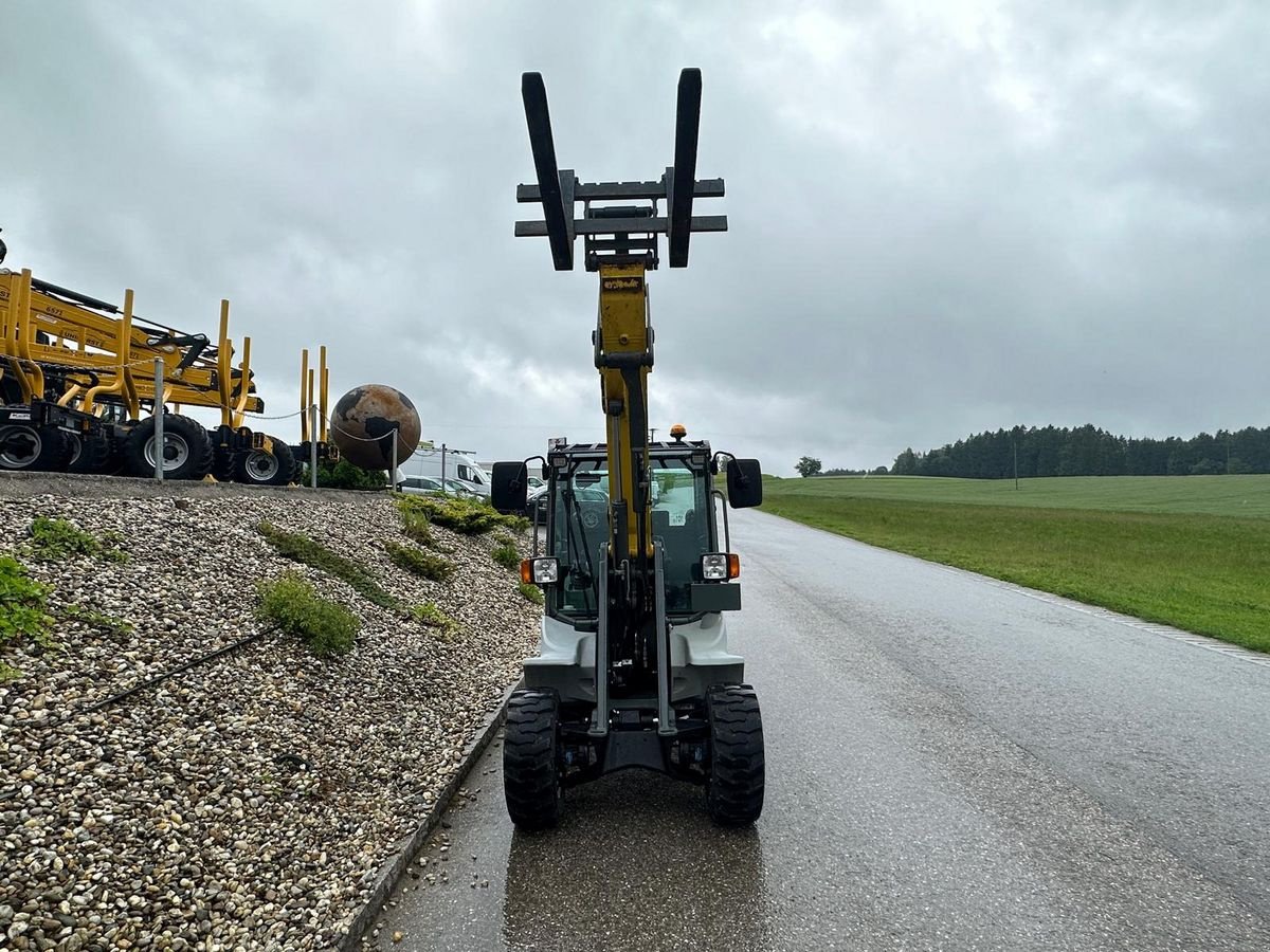 Hoflader типа Neuson 5035, Gebrauchtmaschine в NATTERNBACH (Фотография 13)