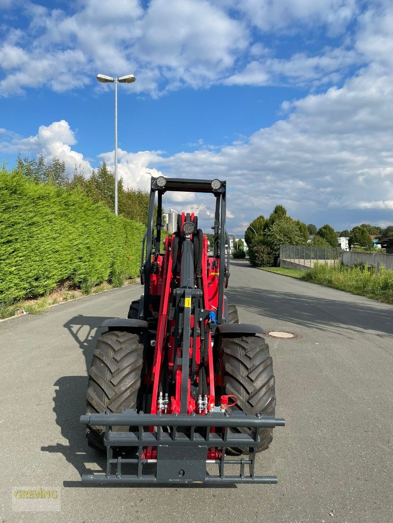 Hoflader del tipo Schäffer 3650, Neumaschine In Werne (Immagine 3)