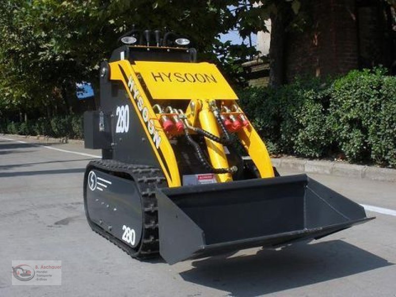 Hoflader типа Sonstige Minihoflader Hysoon HY 280, Neumaschine в Dimbach (Фотография 4)