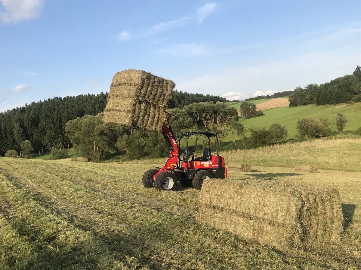 Hoflader typu Thaler 2438  S DPF, Gebrauchtmaschine v Bad Leonfelden (Obrázok 2)