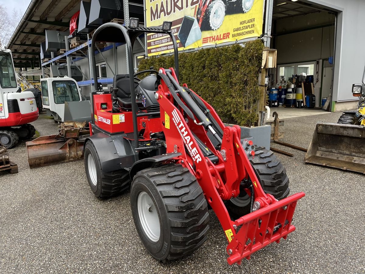 Hoflader Türe ait Thaler 2438  S DPF, Gebrauchtmaschine içinde Bad Leonfelden (resim 3)