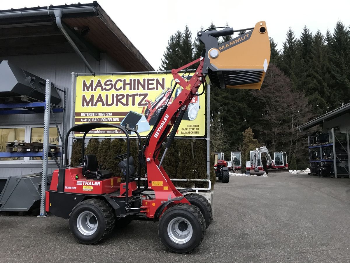 Hoflader del tipo Thaler 2838 S DPF, Gebrauchtmaschine In Bad Leonfelden (Immagine 12)