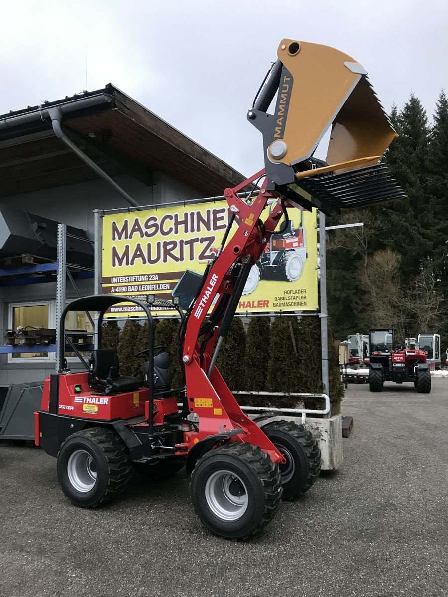 Hoflader типа Thaler 2838 S DPF, Gebrauchtmaschine в Bad Leonfelden (Фотография 5)