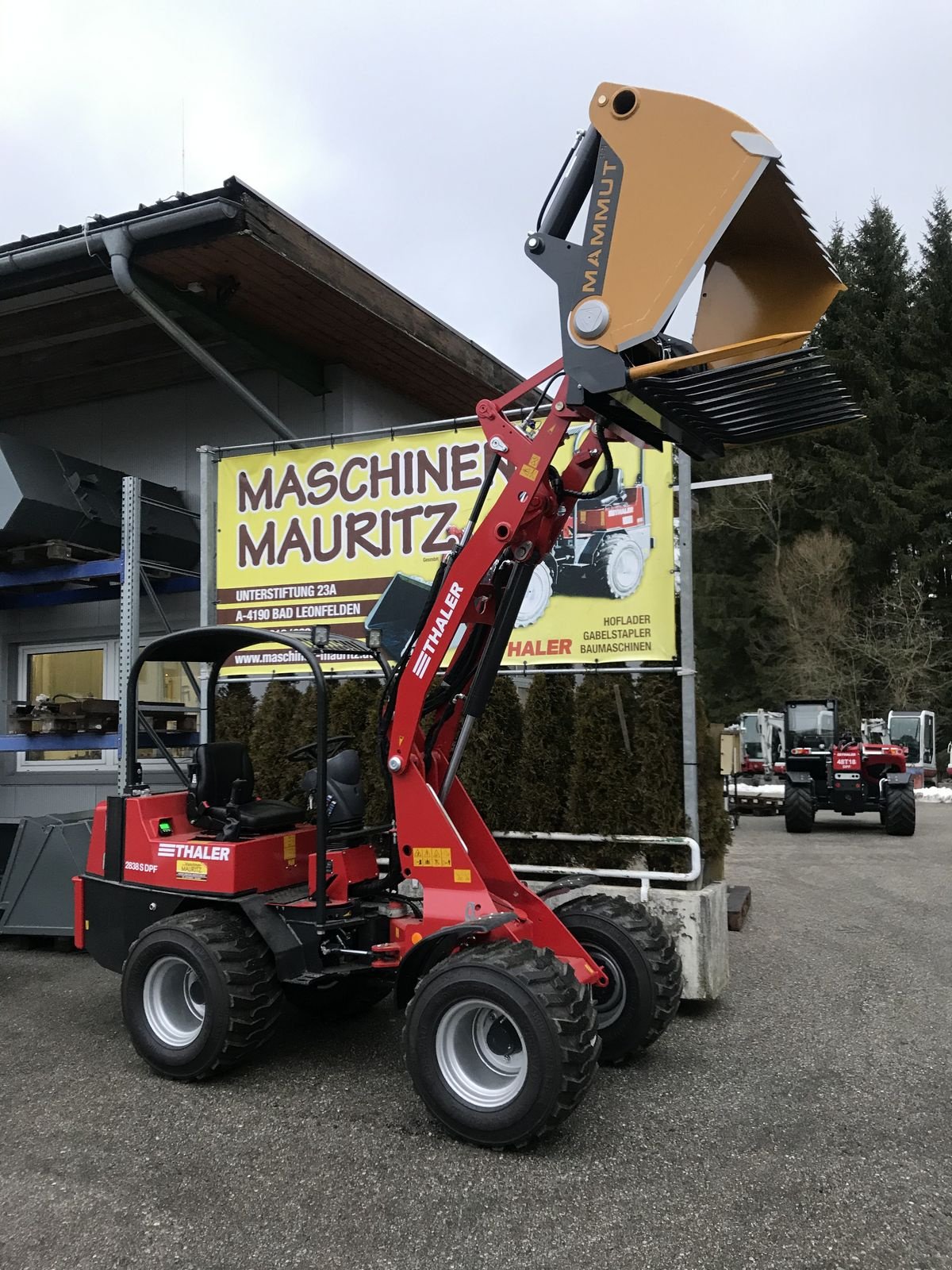 Hoflader des Typs Thaler 2838 S DPF, Gebrauchtmaschine in Bad Leonfelden (Bild 12)