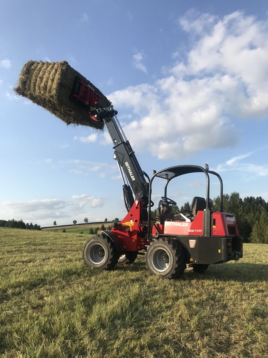 Hoflader del tipo Thaler 2838 T DPF, Gebrauchtmaschine In Bad Leonfelden (Immagine 4)