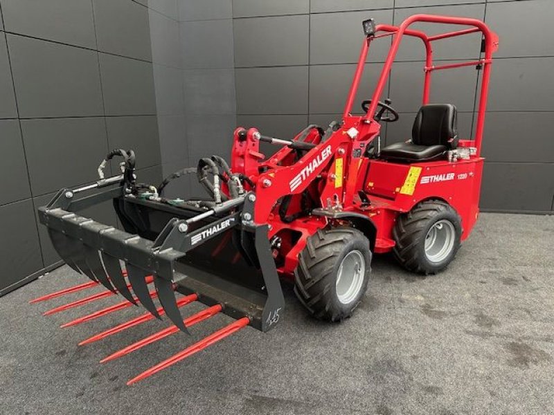 Hoflader του τύπου Thaler Hoflader 1220 19PS 750kg Hubkraft, Neumaschine σε Tamsweg (Φωτογραφία 5)