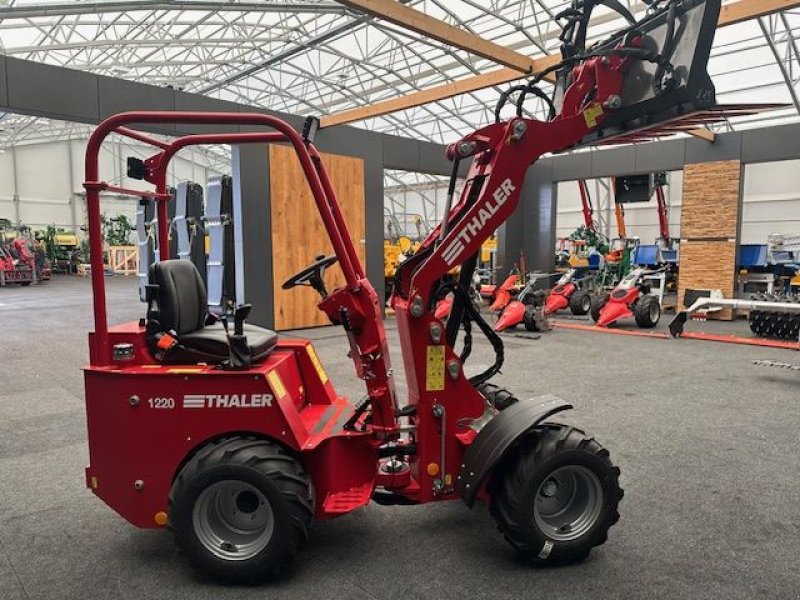 Hoflader Türe ait Thaler Hoflader 1220 19PS 750kg Hubkraft, Neumaschine içinde Tamsweg (resim 10)