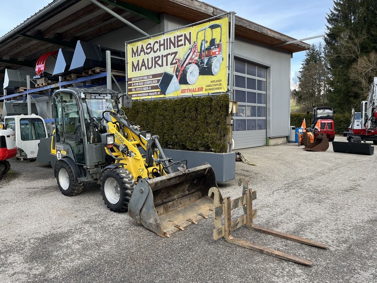 Hoflader typu Wacker Neuson WL 25, Gebrauchtmaschine v Bad Leonfelden (Obrázok 1)