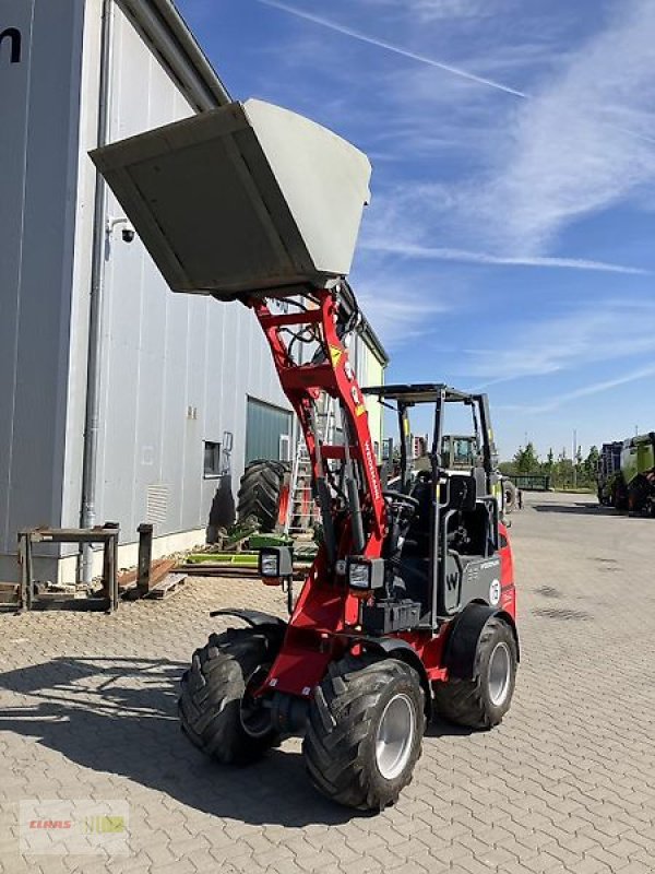 Hoflader van het type Weidemann  1160 eHoftrac, Gebrauchtmaschine in Schwülper (Foto 5)