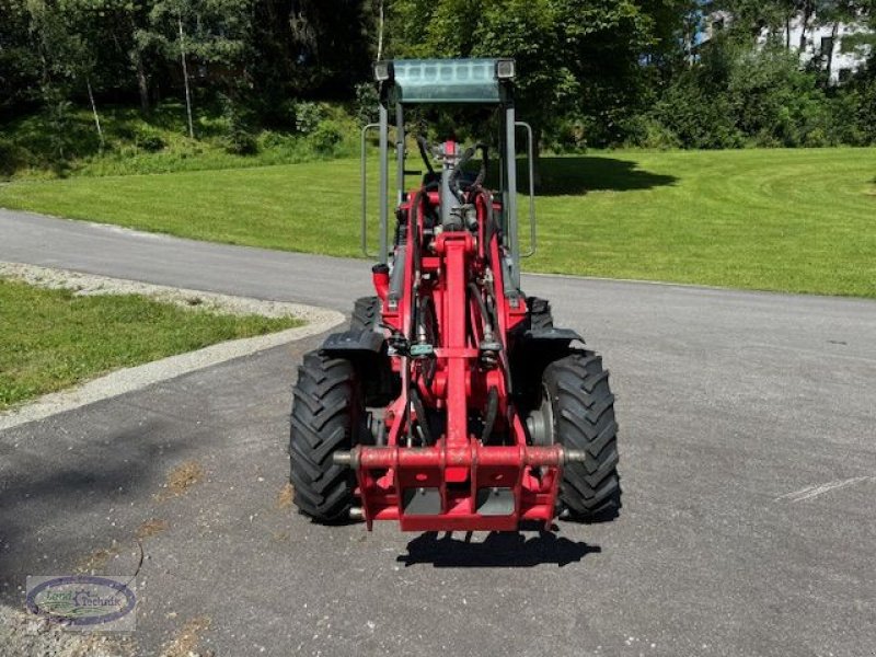 Hoflader typu Weidemann  1255 - CX35, Gebrauchtmaschine v Münzkirchen (Obrázek 3)