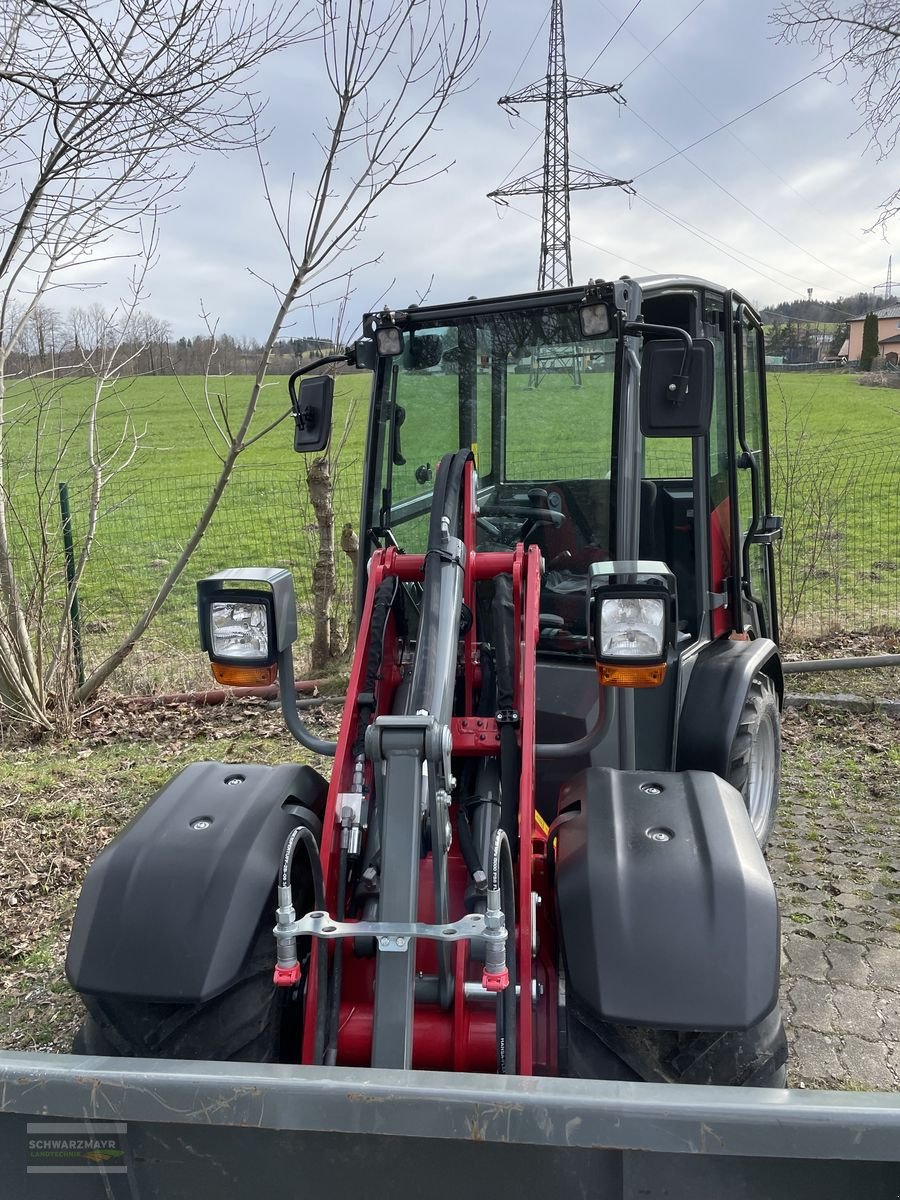 Hoflader of the type Weidemann  1260 LP Kabine, Gebrauchtmaschine in Gampern (Picture 5)