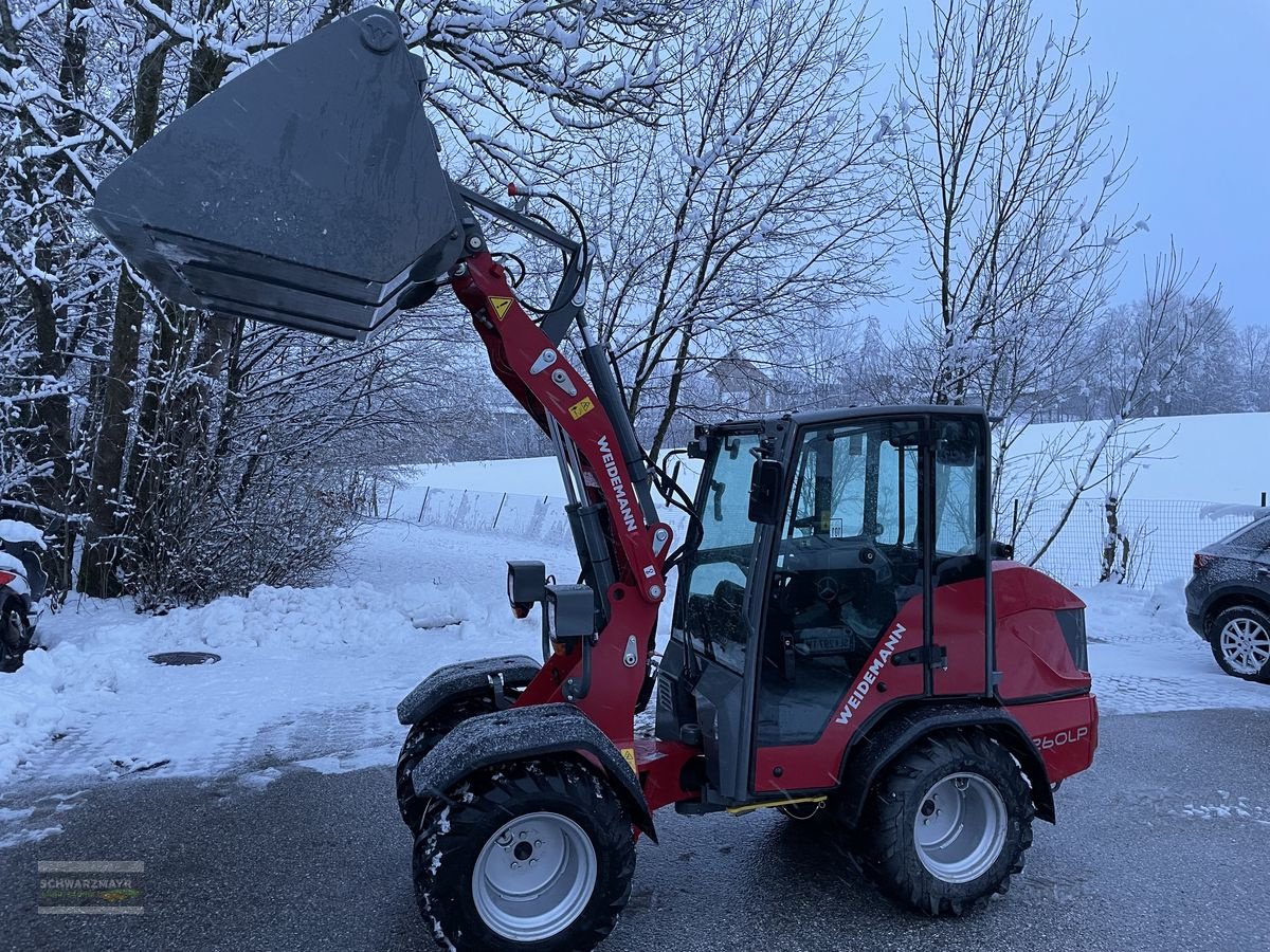 Hoflader a típus Weidemann  1260 LP Kabine, Gebrauchtmaschine ekkor: Gampern (Kép 2)