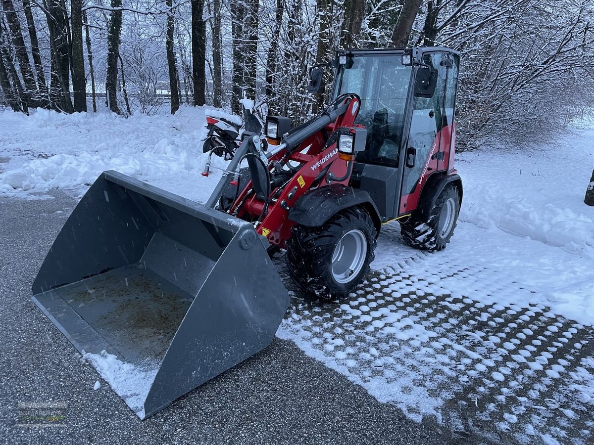 Hoflader a típus Weidemann  1260 LP Kabine, Gebrauchtmaschine ekkor: Gampern (Kép 8)