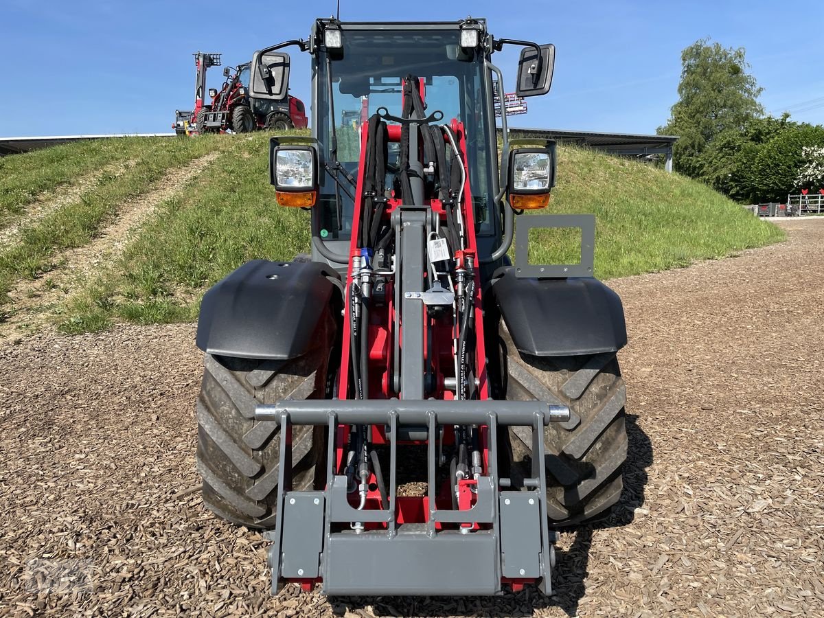 Hoflader des Typs Weidemann  1260LP unter 2m, Neumaschine in Burgkirchen (Bild 2)