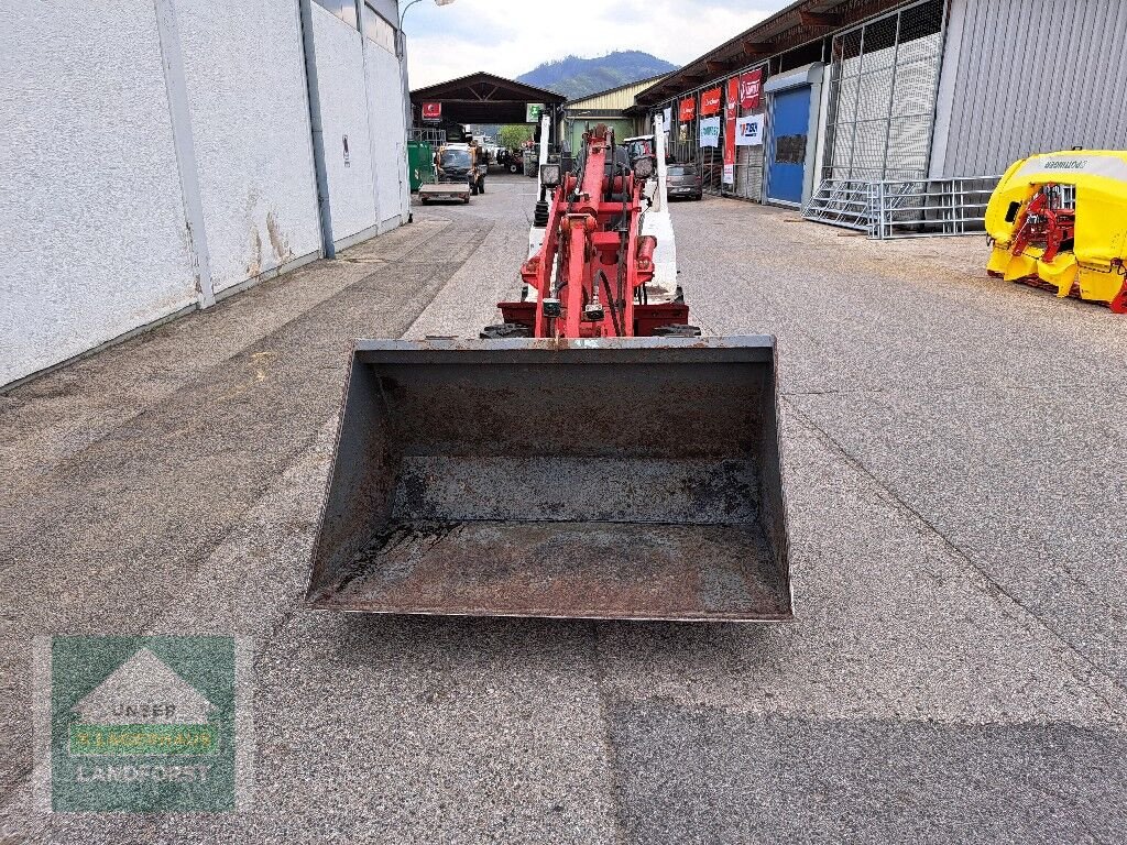 Hoflader typu Weidemann  1365, Gebrauchtmaschine v Kapfenberg (Obrázok 3)