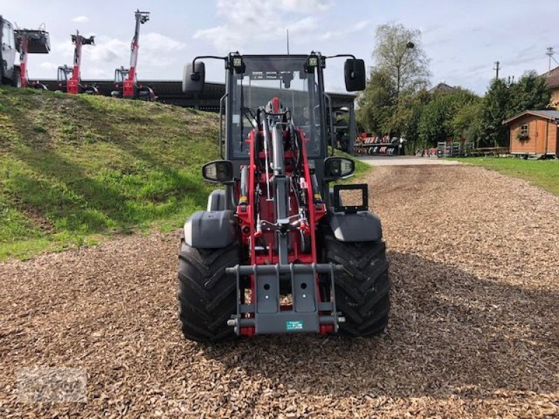 Hoflader van het type Weidemann  1390 Hoflader, Neumaschine in Burgkirchen (Foto 12)