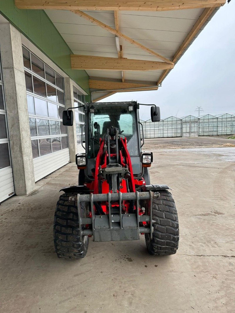 Hoflader des Typs Weidemann  2080, Gebrauchtmaschine in Lohe-Rickelshof (Bild 4)