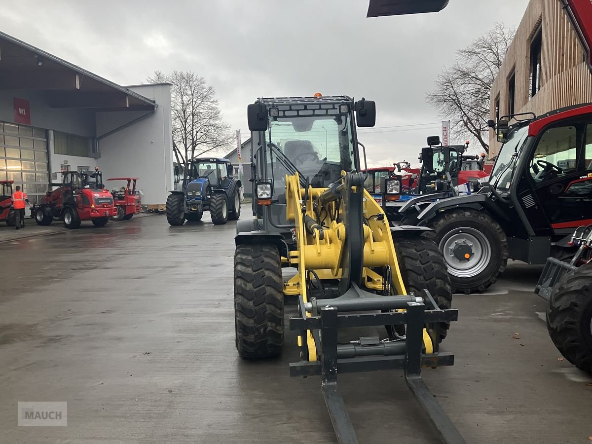 Hoflader des Typs Weidemann  3080 Radlader prompt verfügbar, Neumaschine in Burgkirchen (Bild 4)