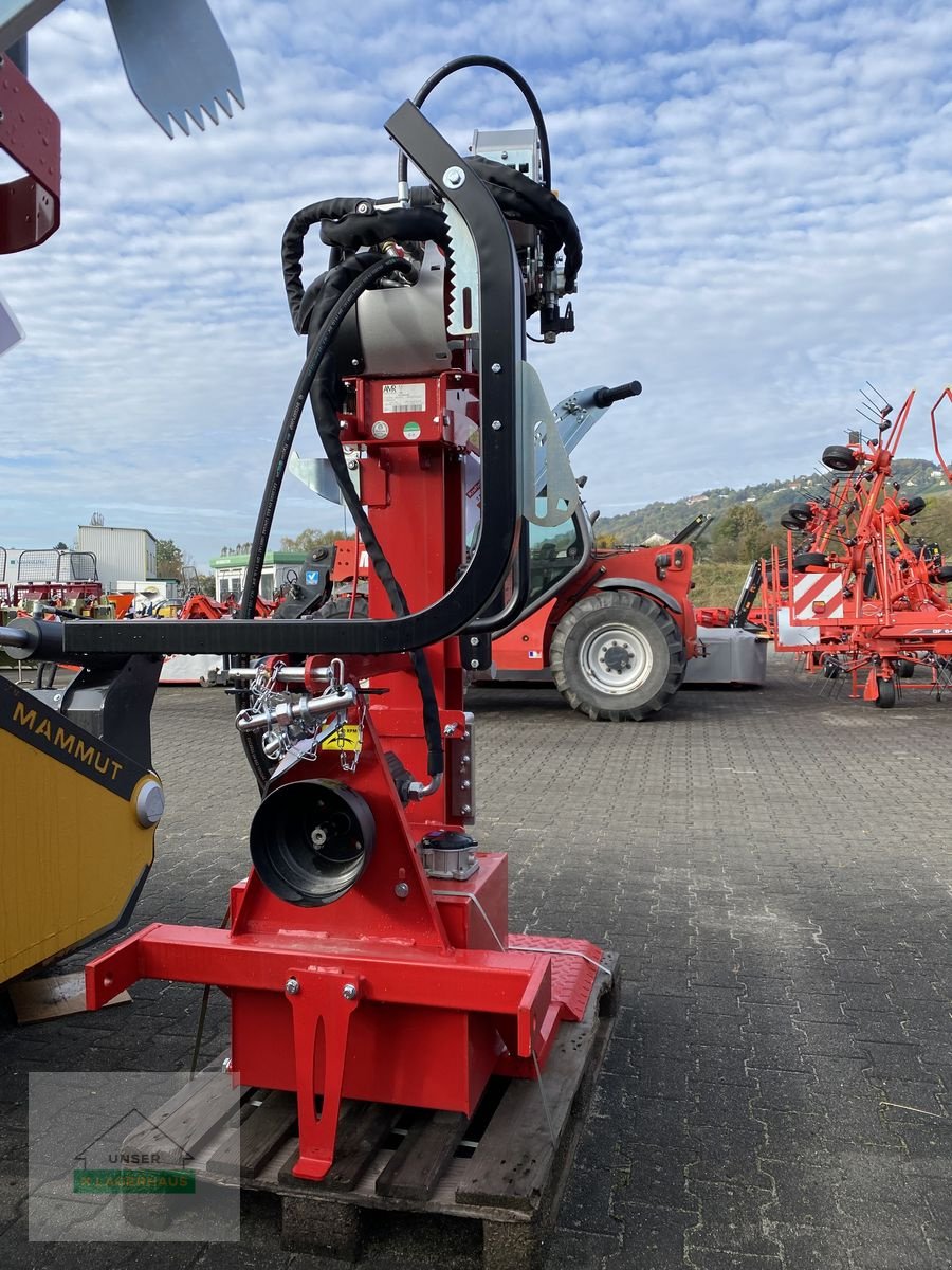 Holzspalter del tipo Sonstige VPF 22 + Funkseilwinde, Neumaschine In Hartberg (Immagine 3)