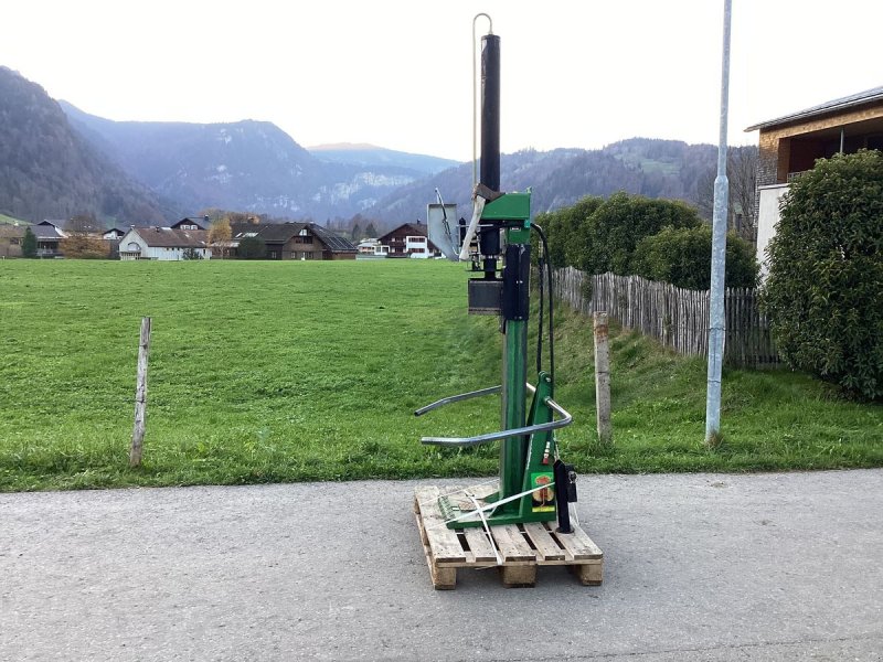 Holzspalter Türe ait Thor Dreipunktspalter 12to, Gebrauchtmaschine içinde Bezau (resim 1)