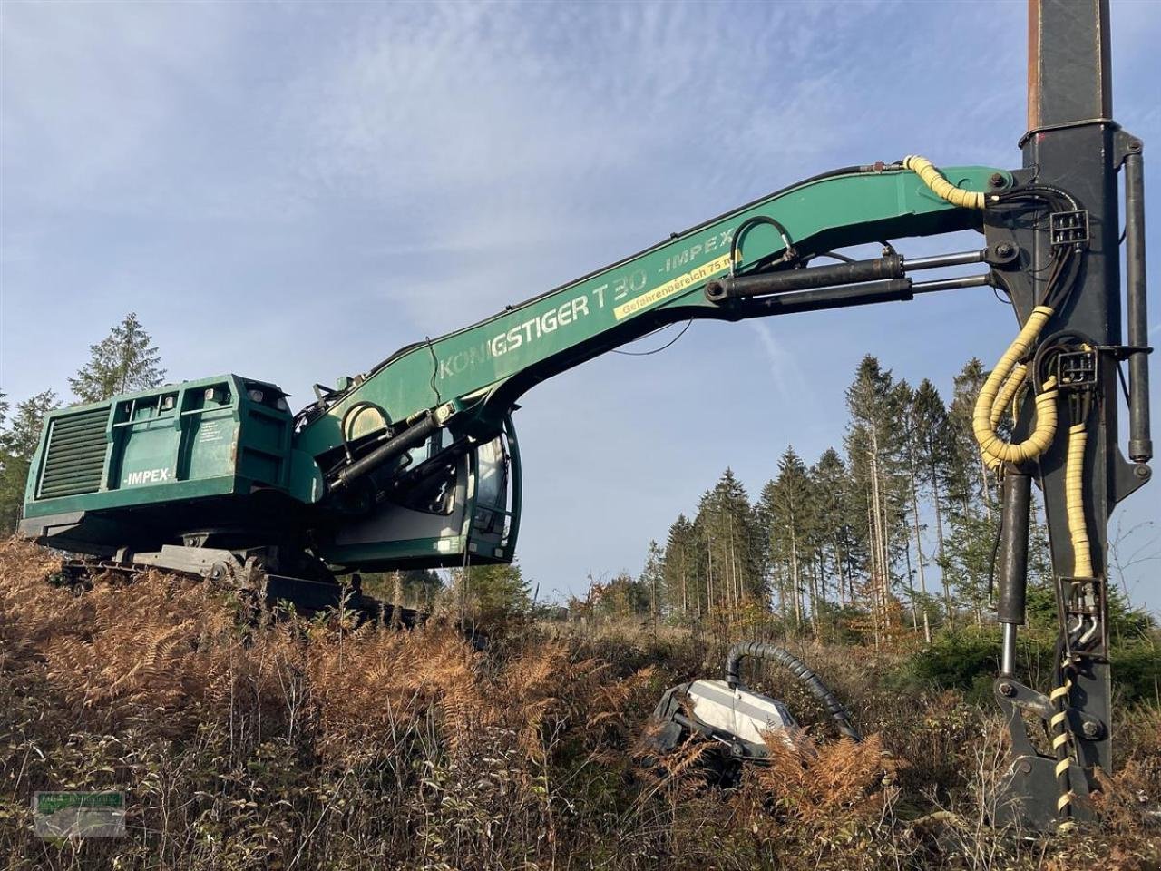 Holzvollernter des Typs Atlas Königstiger T30, Gebrauchtmaschine in Kirchhundem (Bild 1)