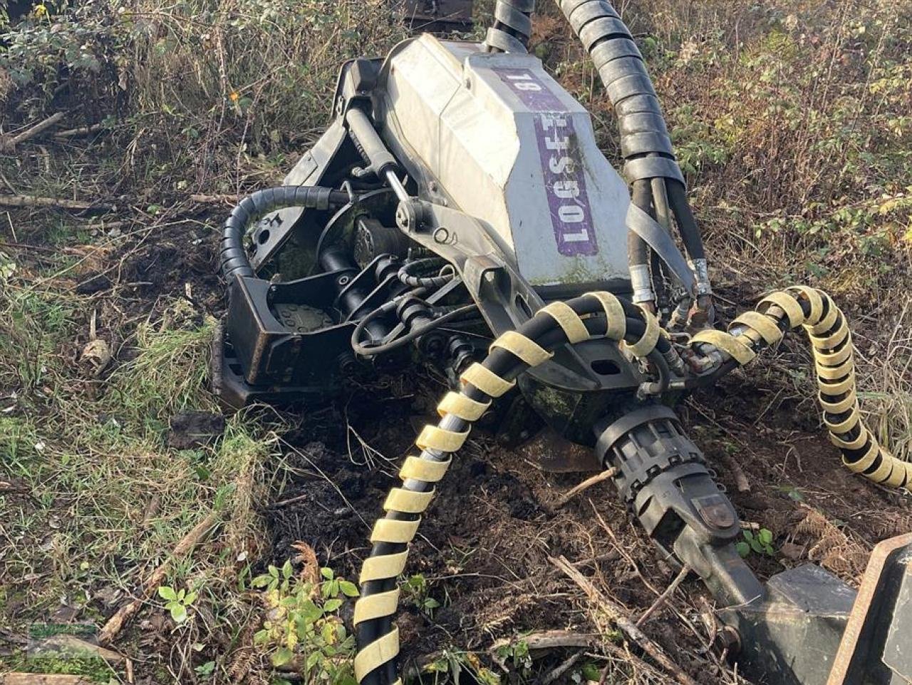 Holzvollernter Türe ait Atlas Königstiger T30, Gebrauchtmaschine içinde Kirchhundem (resim 3)