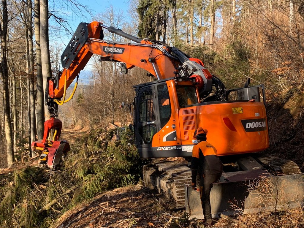 Holzvollernter of the type Doosan DX 235 Harvester Woody, Neumaschine in Hutthurm (Picture 2)