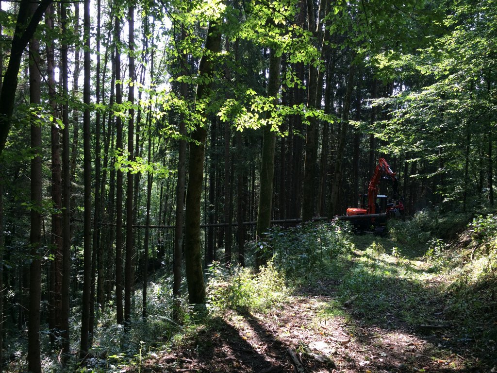 Holzvollernter типа Doosan DX 85 Harvester Woody, Neumaschine в Hutthurm (Фотография 8)