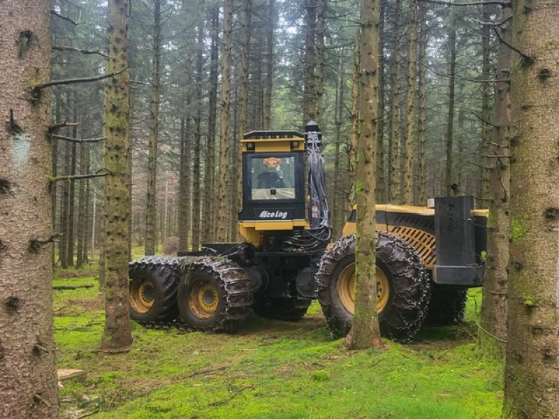 Holzvollernter des Typs Ecolog 590 D, Gebrauchtmaschine in OTTROTT (Bild 1)