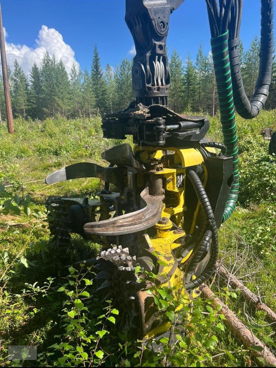 Holzvollernter typu John Deere 1270E, Gebrauchtmaschine v Pragsdorf (Obrázek 3)