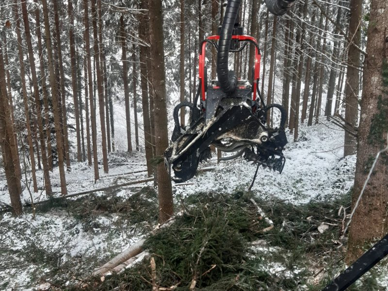 Holzvollernter del tipo Komatsu 911.5, Gebrauchtmaschine In 6416 Steinerberg (Immagine 1)