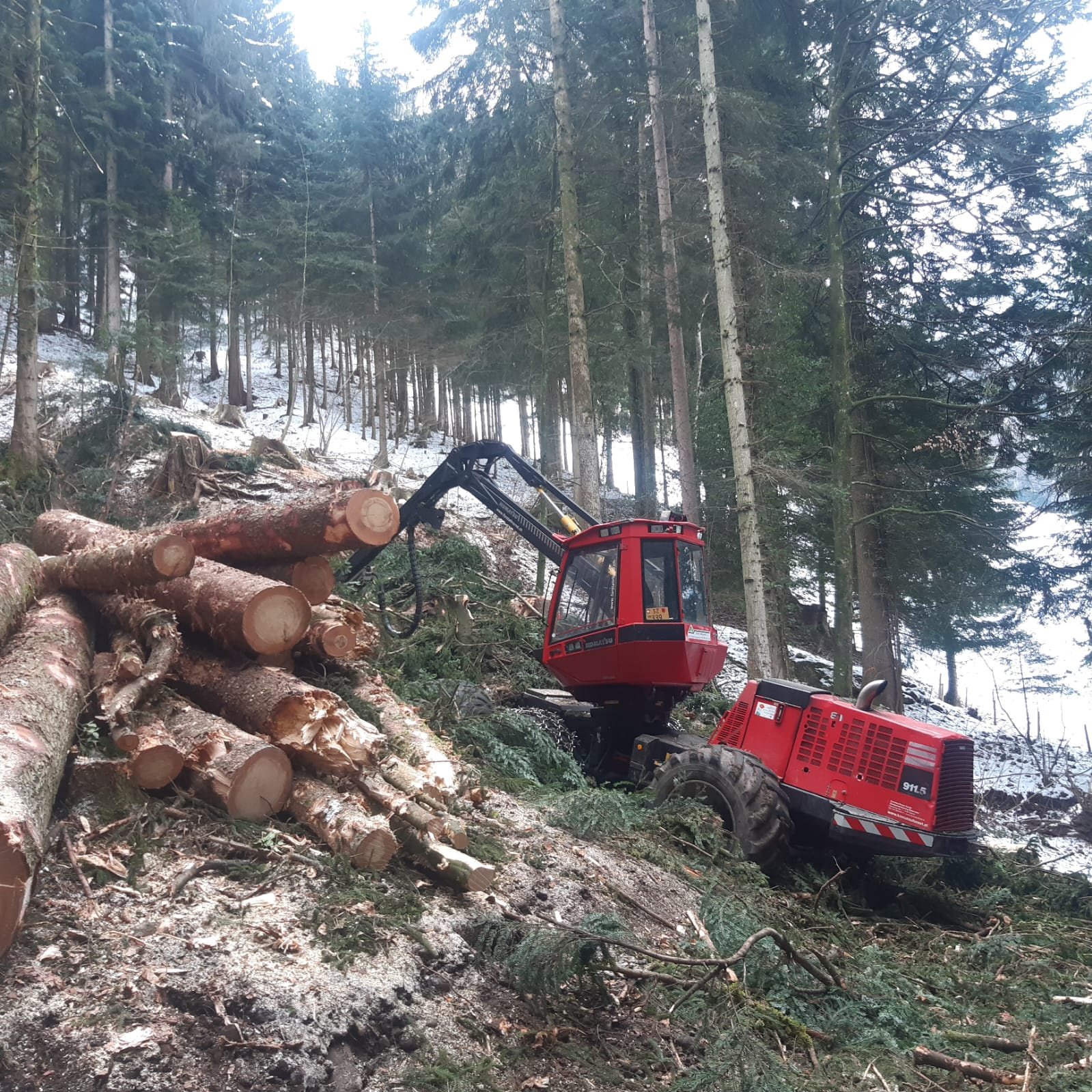 Holzvollernter des Typs Komatsu 911.5, Gebrauchtmaschine in 6416 Steinerberg (Bild 3)