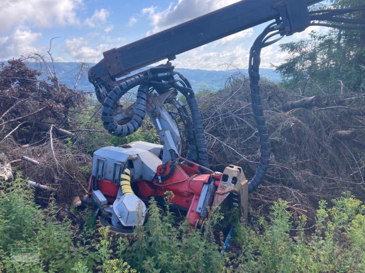 Holzvollernter del tipo Logset 10H, Gebrauchtmaschine en Kirchhundem (Imagen 3)