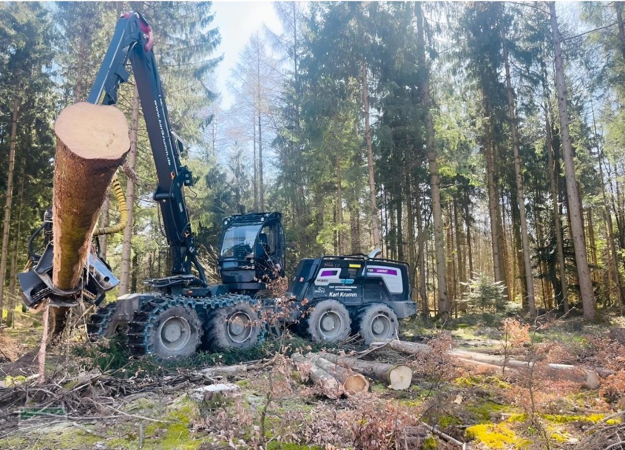 Holzvollernter Türe ait Logset 12H GTE, Gebrauchtmaschine içinde Kirchhundem (resim 2)