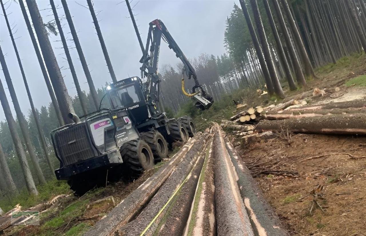 Holzvollernter des Typs Logset 12H GTE, Gebrauchtmaschine in Kirchhundem (Bild 3)