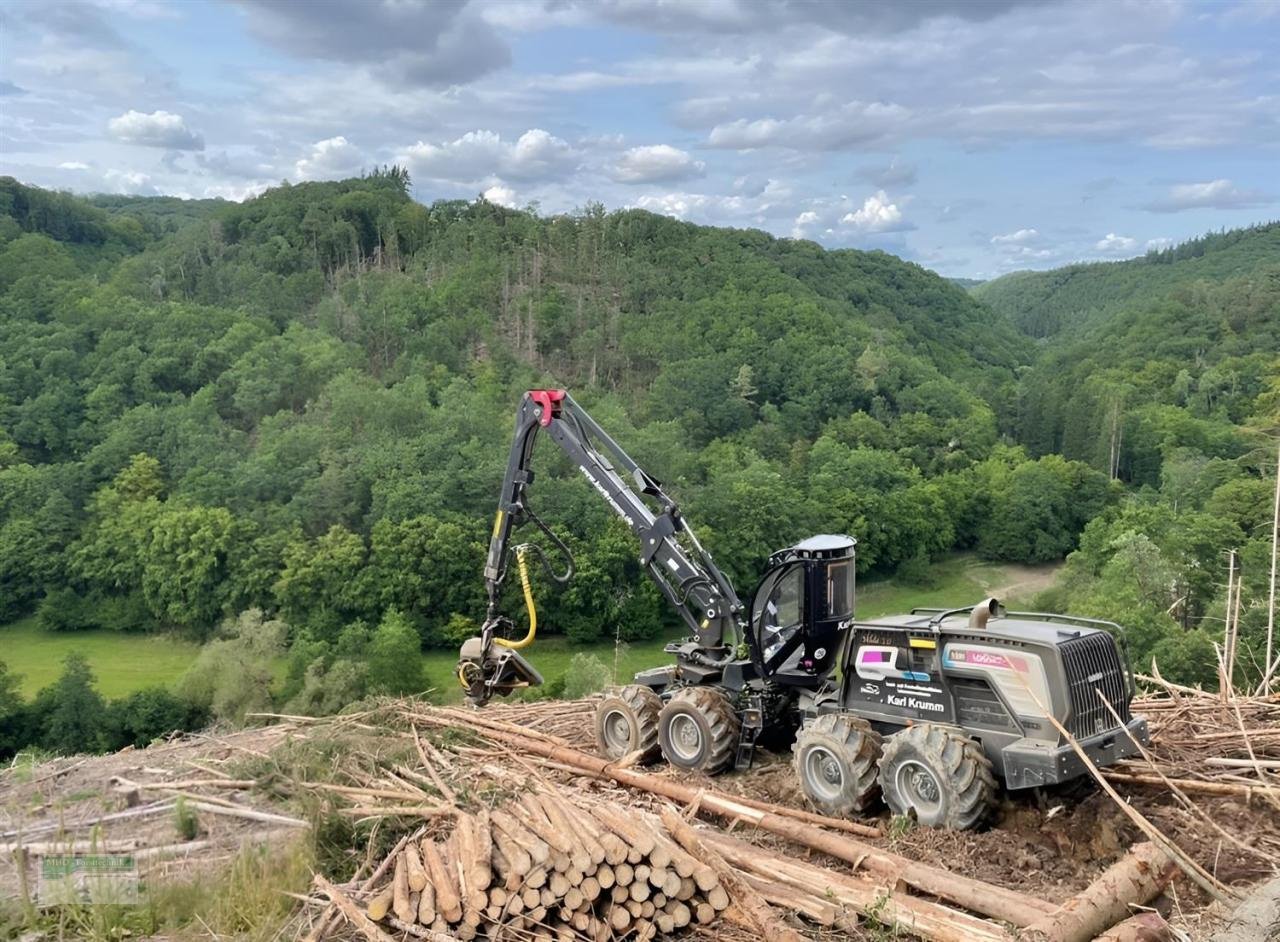 Holzvollernter van het type Logset 12H GTE, Gebrauchtmaschine in Kirchhundem (Foto 4)