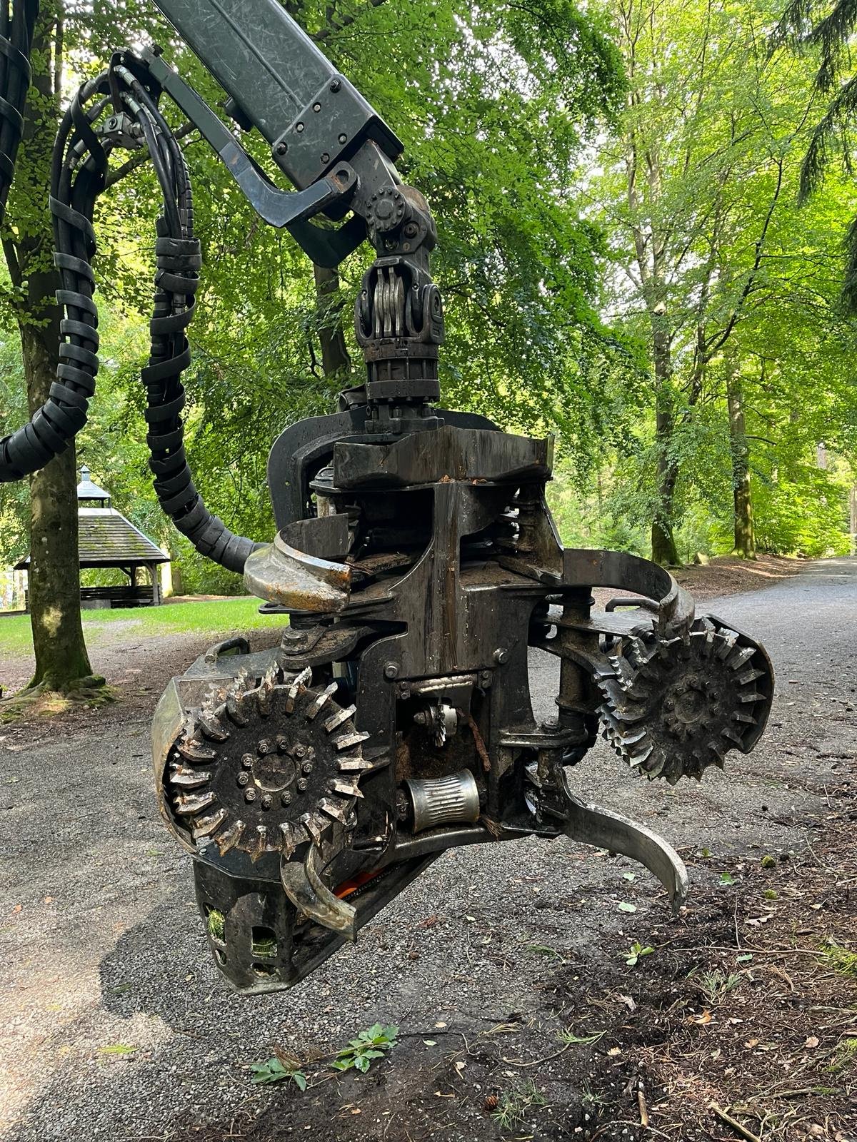 Holzvollernter del tipo Logset 6 H, Gebrauchtmaschine en Baden-Württemberg - Bretzfeld (Imagen 2)