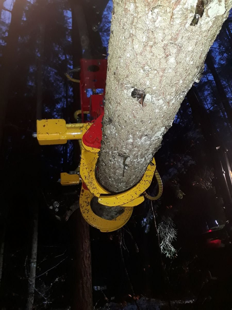 Holzvollernter tipa Naarva S 23C Gamsjäger Edition, Neumaschine u Gosau am Dachstein (Slika 7)