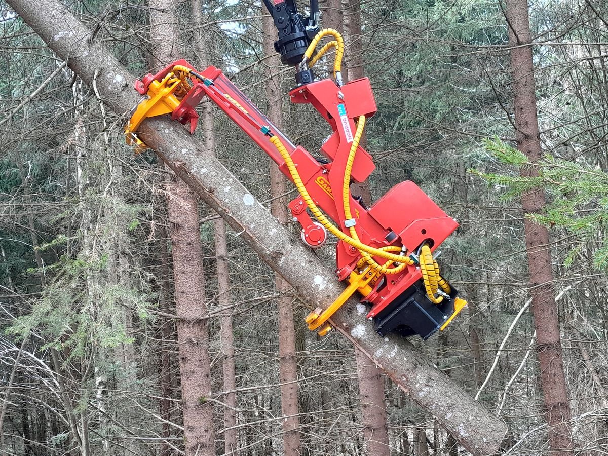 Holzvollernter του τύπου Naarva S 23C Gamsjäger Edition, Neumaschine σε Gosau am Dachstein (Φωτογραφία 8)