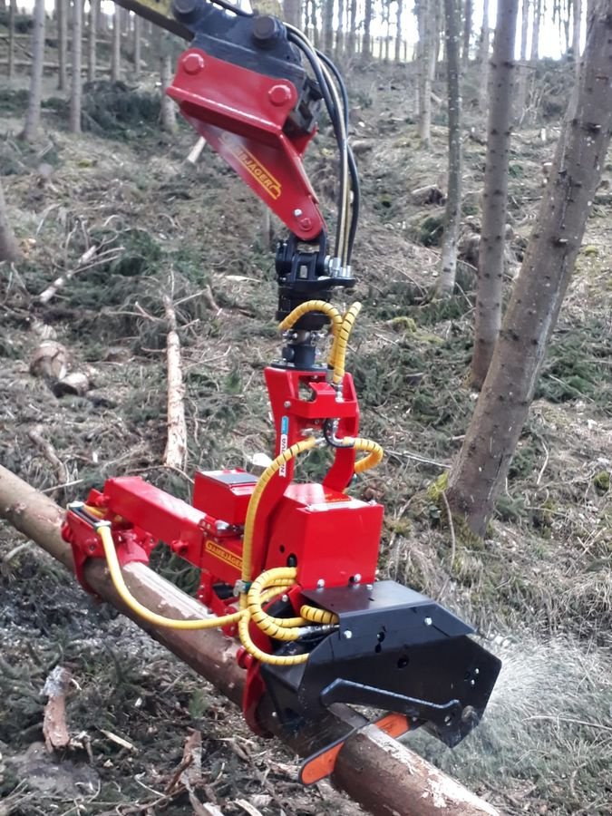 Holzvollernter van het type Naarva S23C, Neumaschine in Gosau am Dachstein (Foto 4)