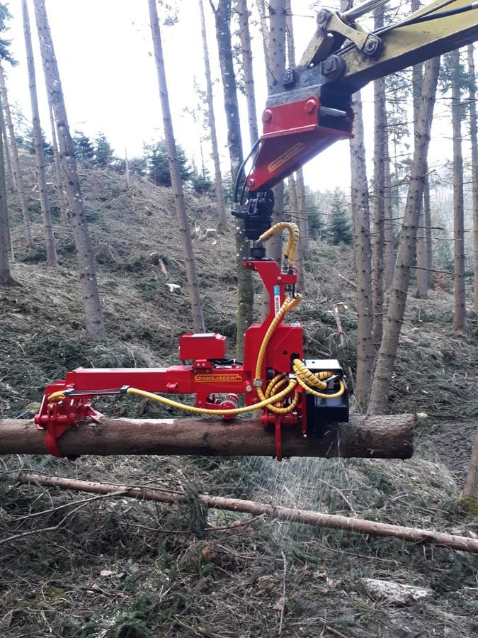 Holzvollernter typu Naarva S23C, Neumaschine w Gosau am Dachstein (Zdjęcie 5)